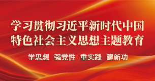 学习贯彻习近平新时代中国特色社会主义思想主题教育