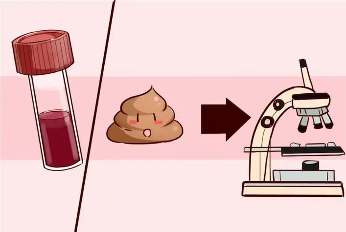 【健康科普】关于粪便常规检验，这些内容您应该知道