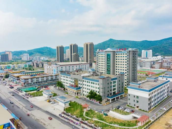 【喜讯】道承岐黄十余载，逐梦远航正逢时——百色市中医医院晋升为国家三级中医医院
