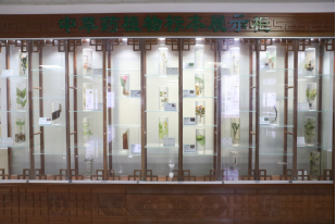 529b18d90c8326b0a5ff6e38dda1d411.png