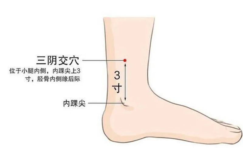 90f44f88a2a1db9049f0ab78bfa902b5.jpg
