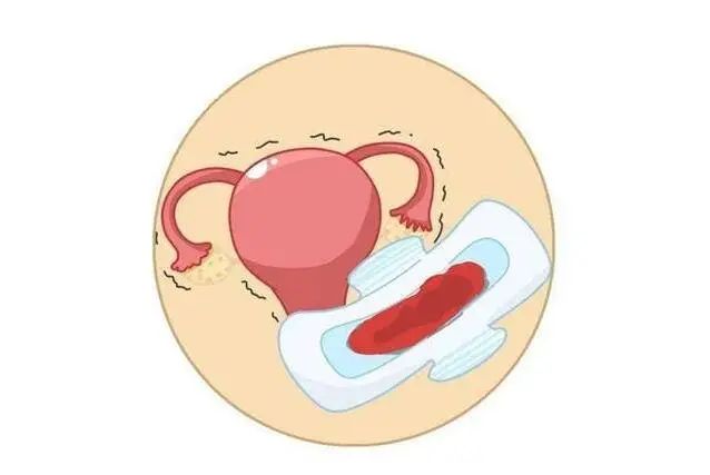 【健康科普】月经“失控”如何自救？中医专家带您解锁崩漏冷知识
