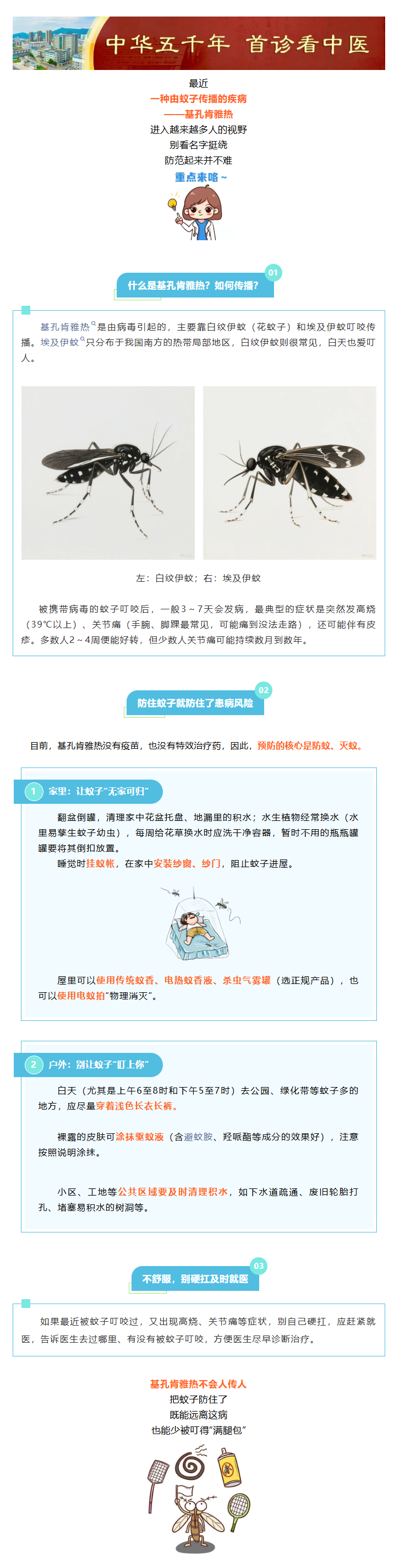 警惕！蚊子传播的基孔肯雅热，防护要点看这里