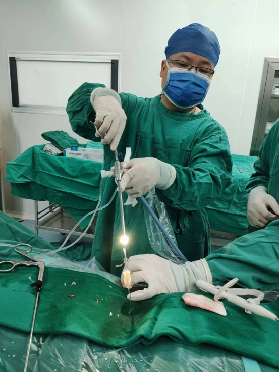 【健康科普】腰酸背痛吗？小心这个久坐族的“隐形腰痛杀手”