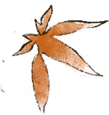undefined 图片